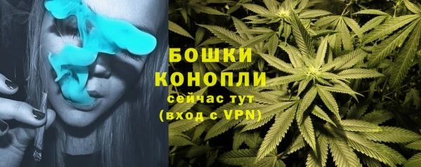 каннабис Аркадак