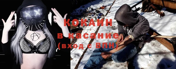 шишки Семикаракорск