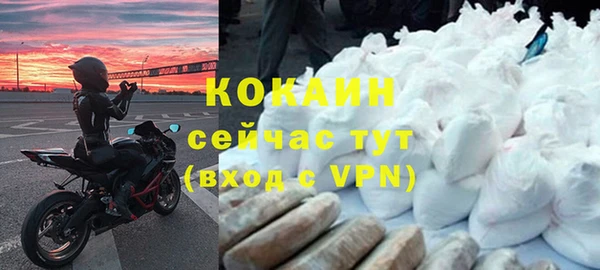 индика Баксан