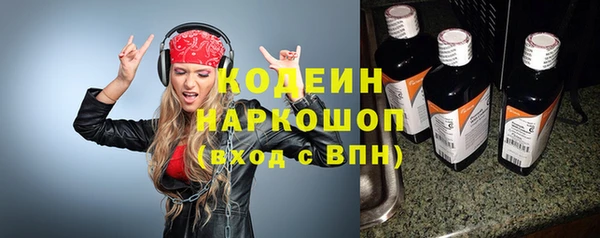 индика Баксан