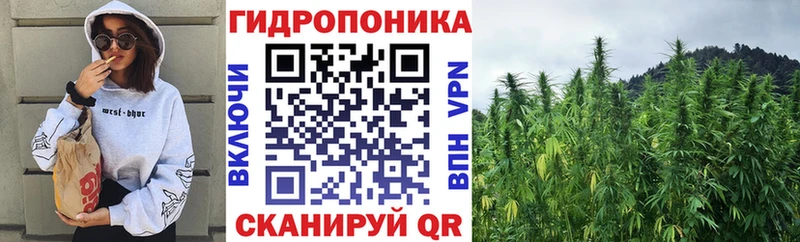 Марихуана Amnesia  blacksprut как войти  Нововоронеж 